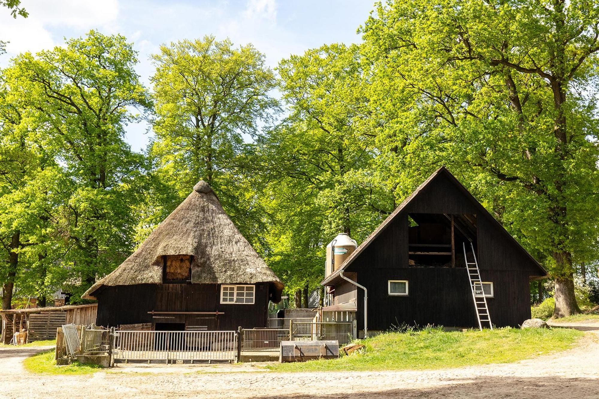 Heide Ferien - Hof Bockelmann Lejlighed Bispingen Eksteriør billede